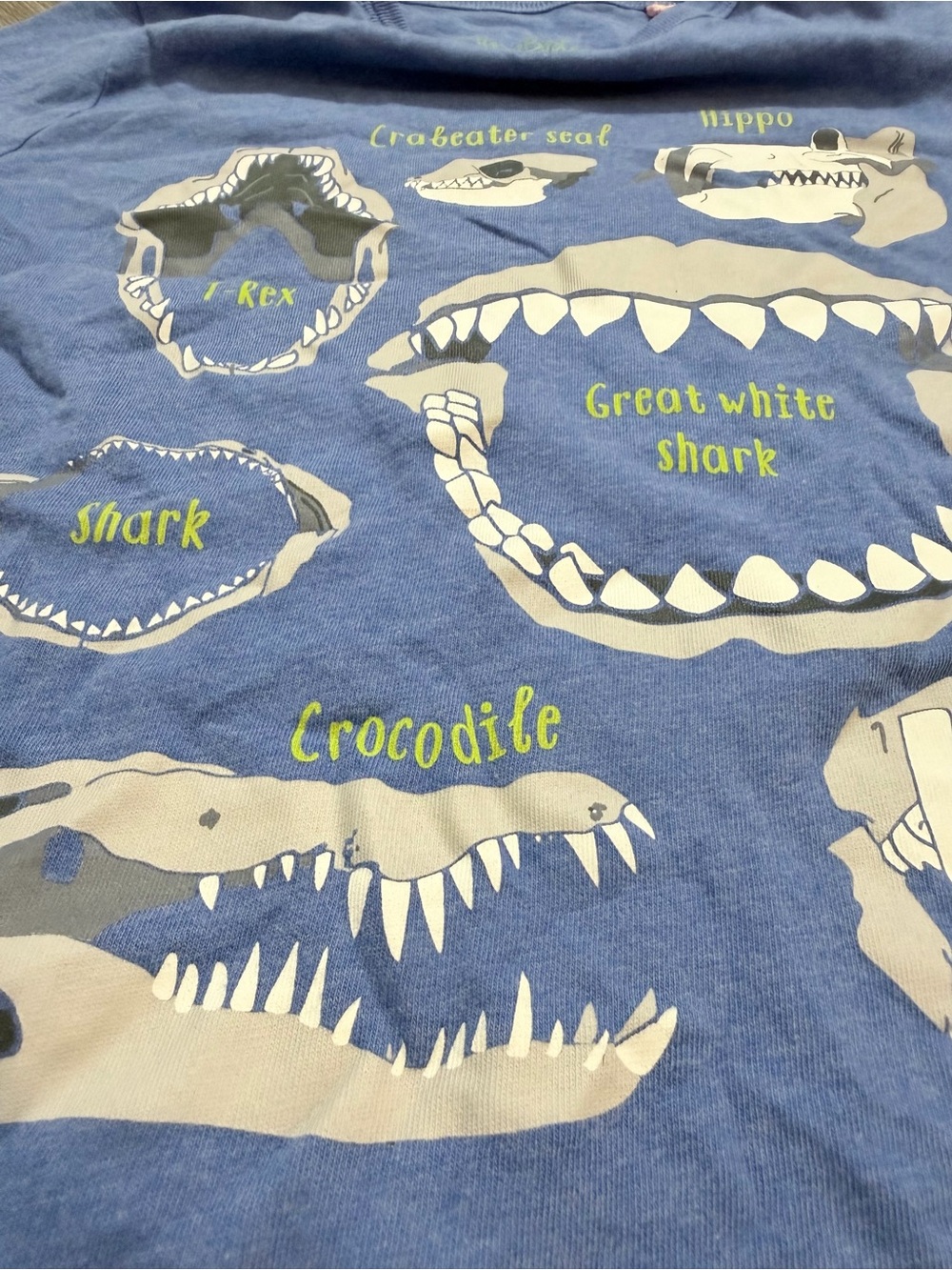 Boys Mini Boden Blue fossils skulls vinyl printed longsleeve tee 11 12 - Picture 3 of 6